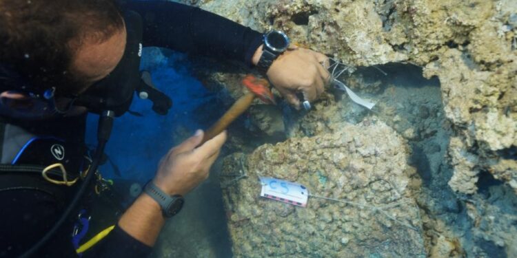 Атрактивната археолошка туристичка понуда на Туркије збогатена со нови пронајдоци